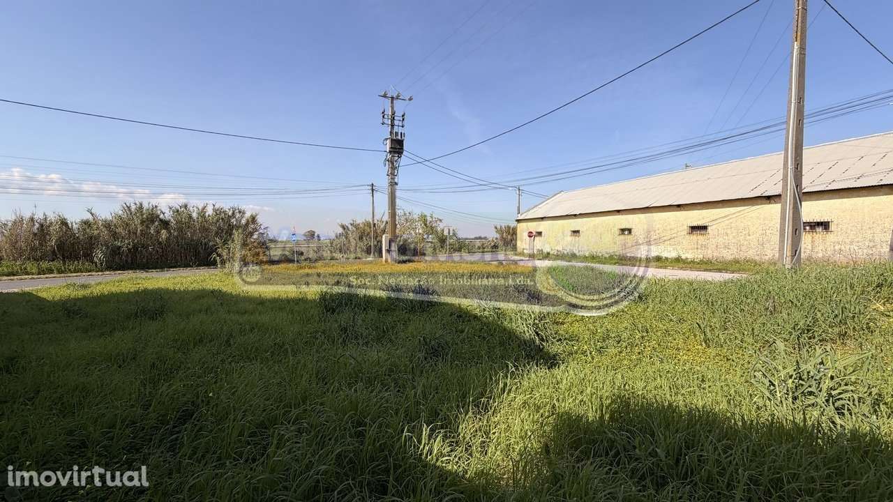 Terreno no Porto Alto (PALT403) - Grande imagem: 4/17