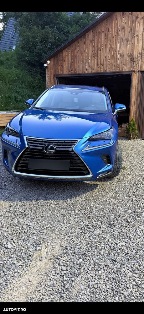 Lexus Seria NX 300h AWD Executive Plus - 17