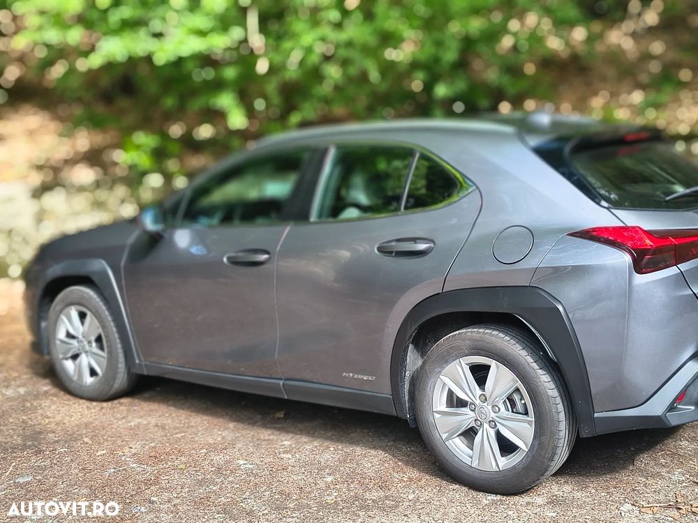 Lexus UX 250h (E-FOUR) Business Edition - 20