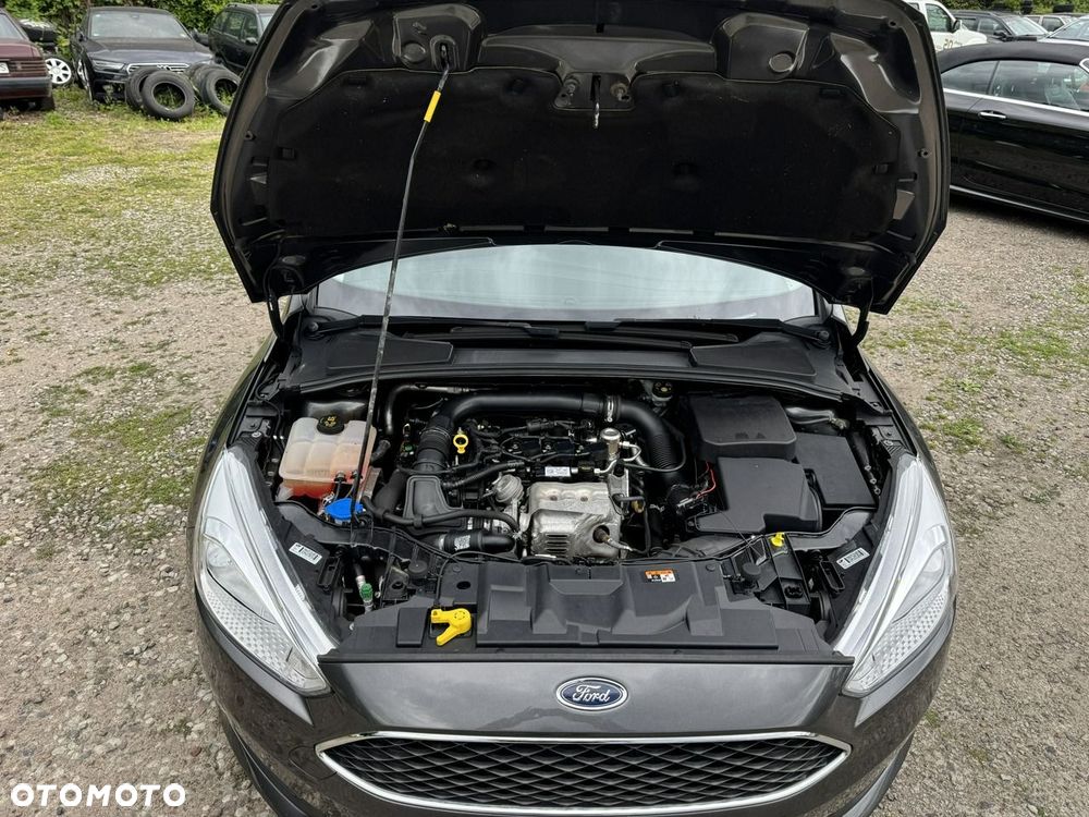 Ford Focus - 38
