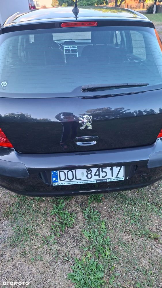 Peugeot 307 1.6 D-sign - 9