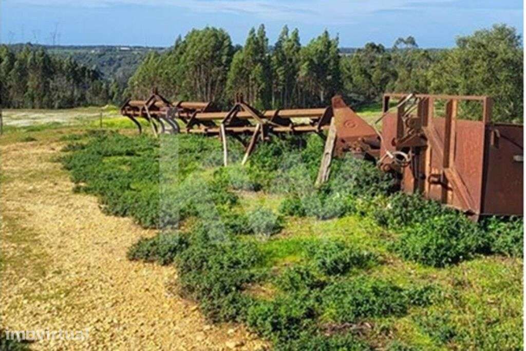 Terreno com 126 Hectares em Odemira - Grande imagem: 3/21