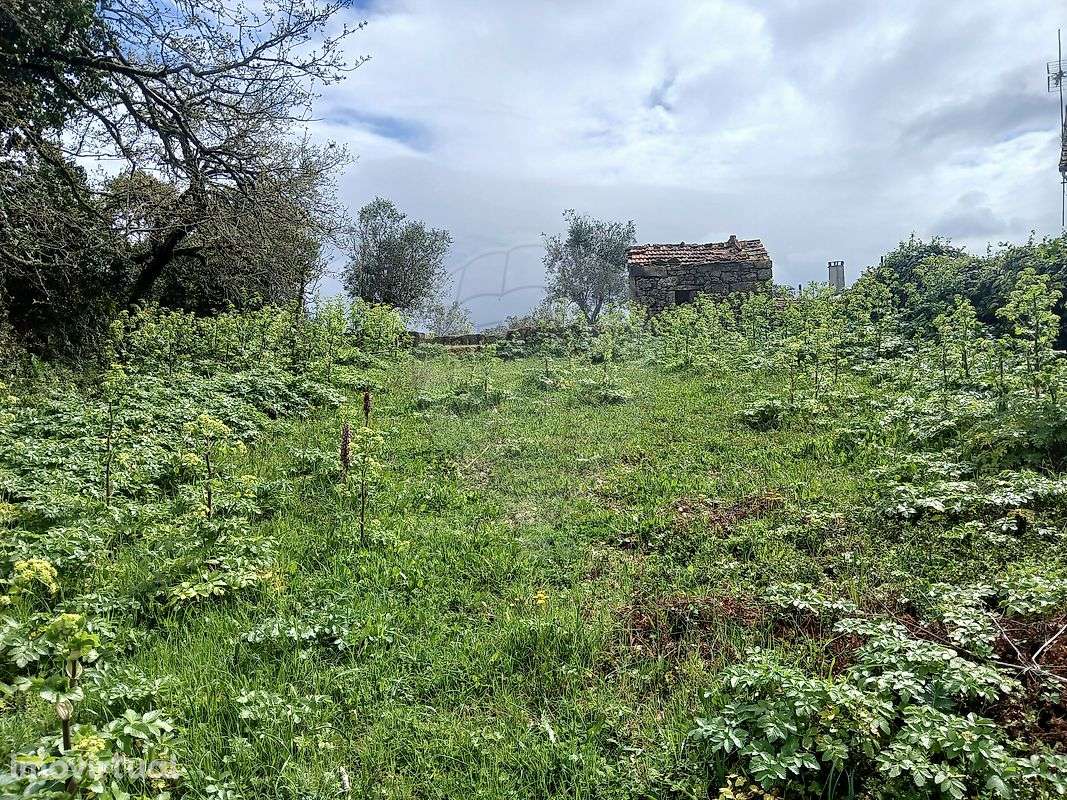 Terreno  para venda - Grande imagem: 4/10