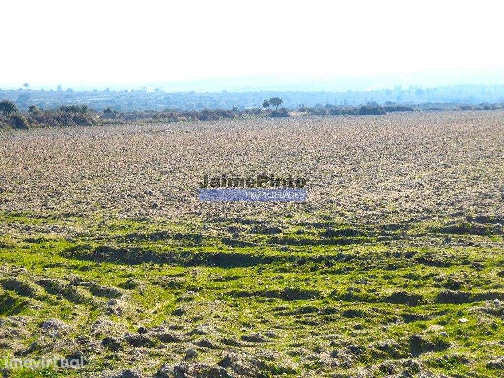 10,9ha de terra plana para plantações. Portugal, F. C. Rodrigo, Bar... - Grande imagem: 5/6