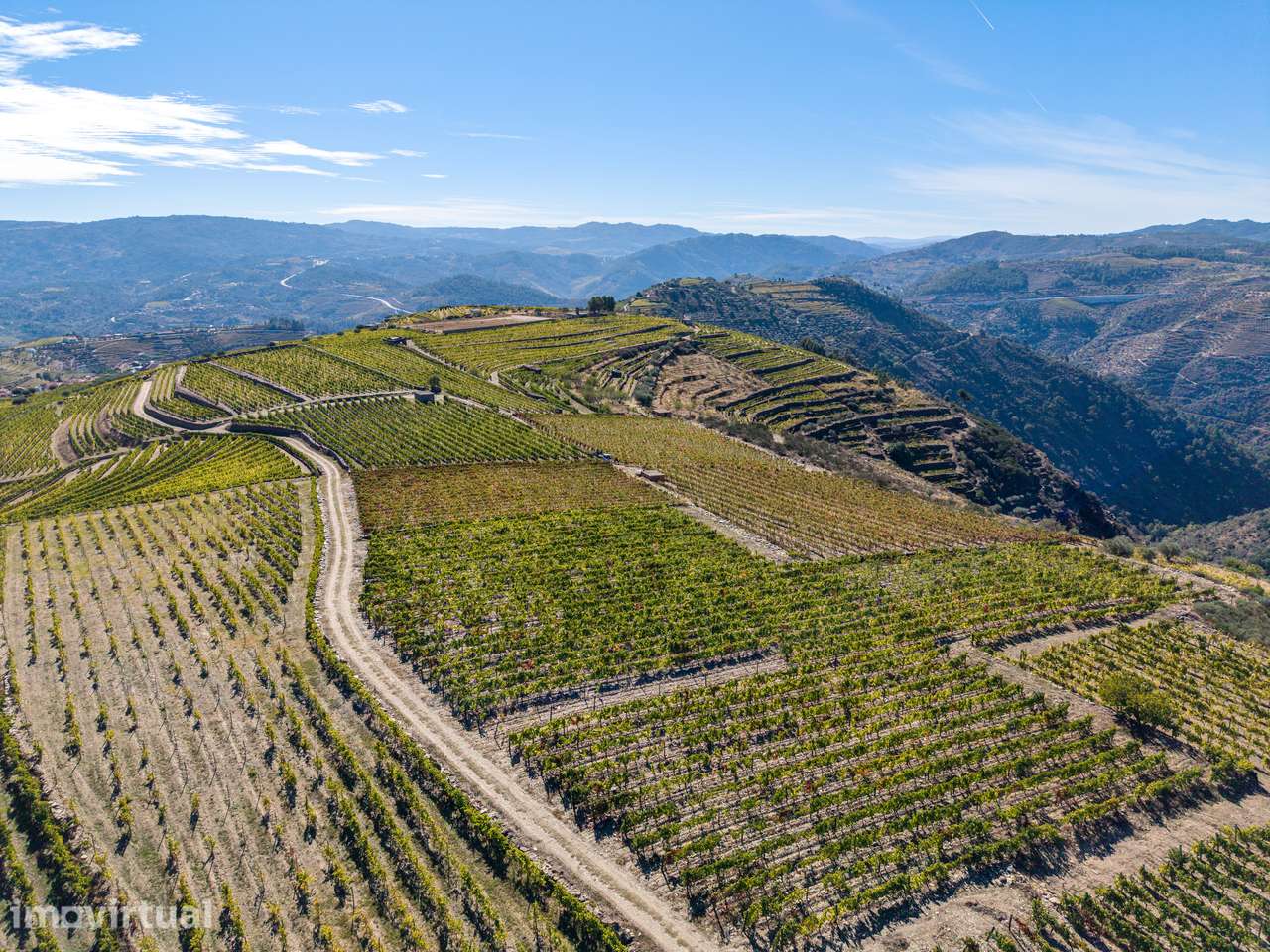 VINHA À VENDA EM MURÇA – REGIÃO DEMARCADA DO DOURO - Grande imagem: 4/23