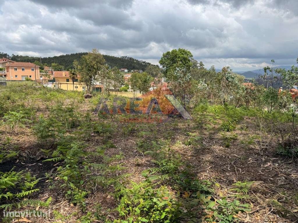 Terreno para construção - Palmaz - Grande imagem: 4/9