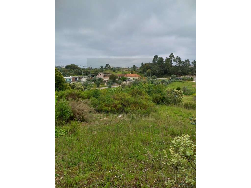 Terreno - Zambujal - Ourém - Grande imagem: 3/6