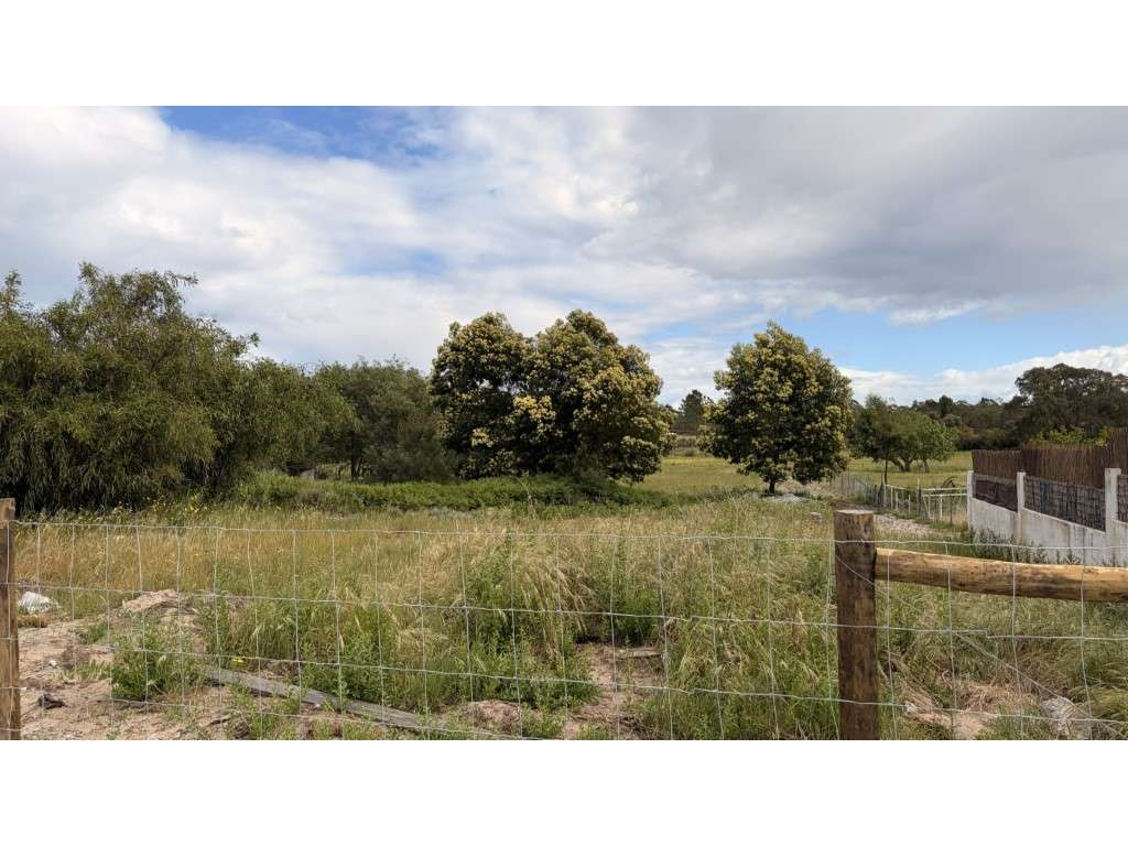 Terreno com Vista Premium na Comporta - Grande imagem: 3/18