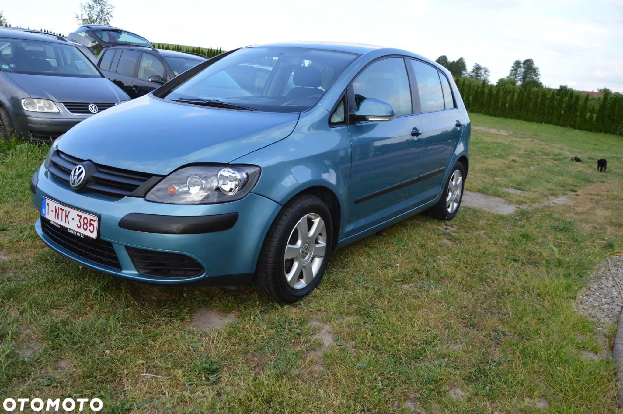 Volkswagen Golf Plus 1.9 TDI Comfortline - 19