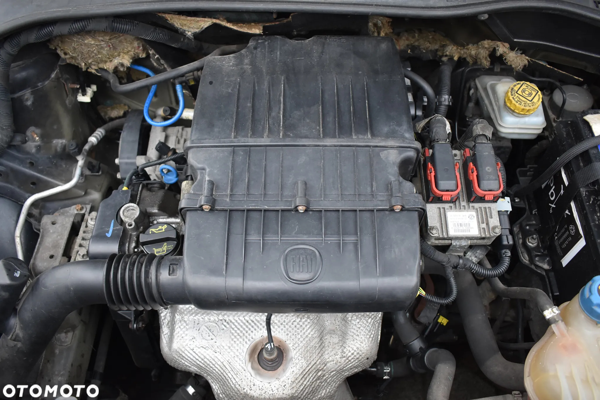 Fiat Punto Evo - 28
