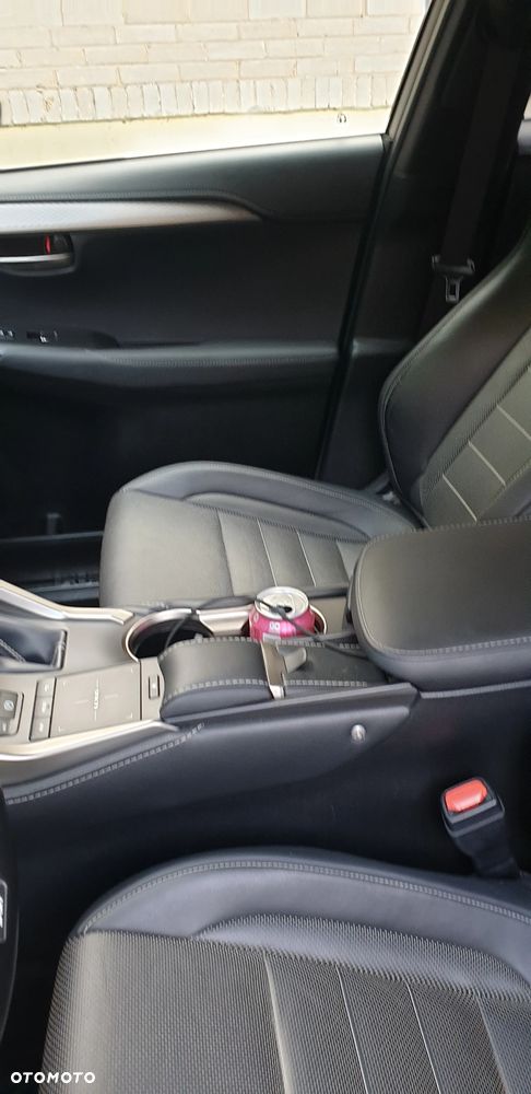 Lexus NX 300h F Sport AWD - 21