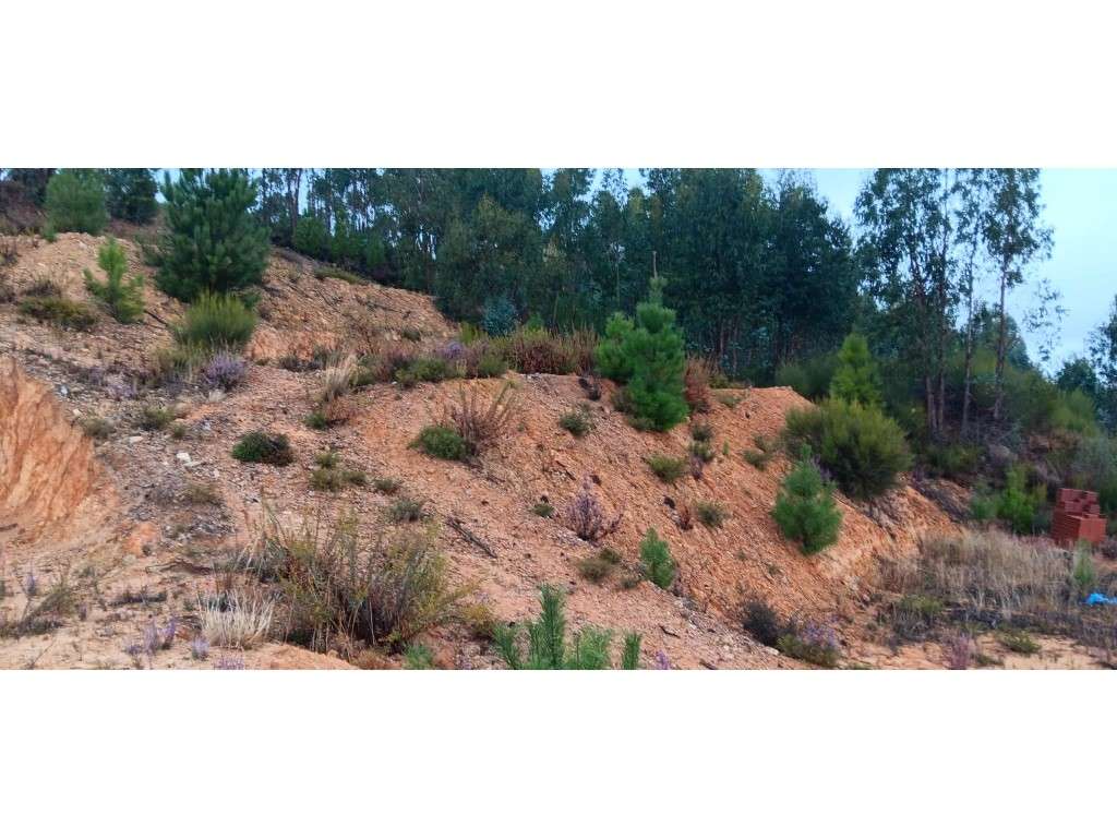 Lote de Terreno Urbano para Construção de Moradia - Quinta de Santo... - Grande imagem: 3/8