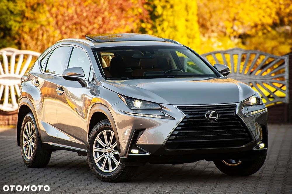 Lexus NX 300 AWD - 3