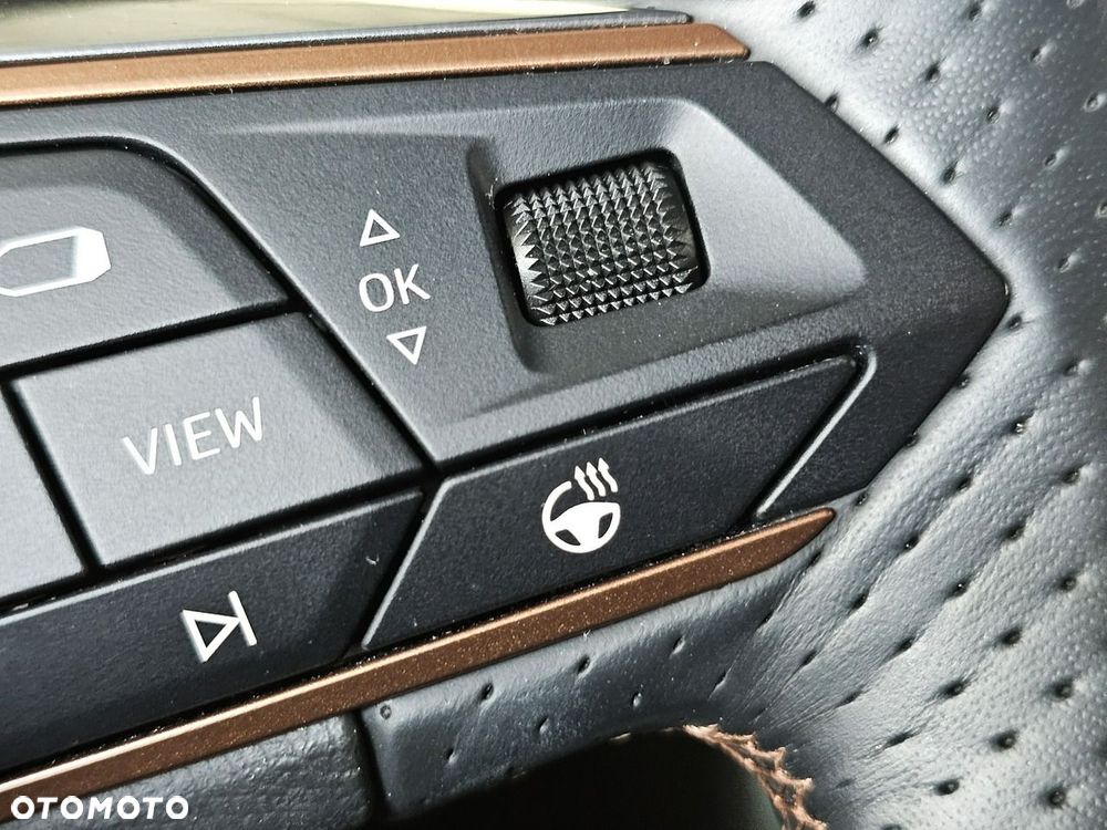 Cupra Ateca - 19