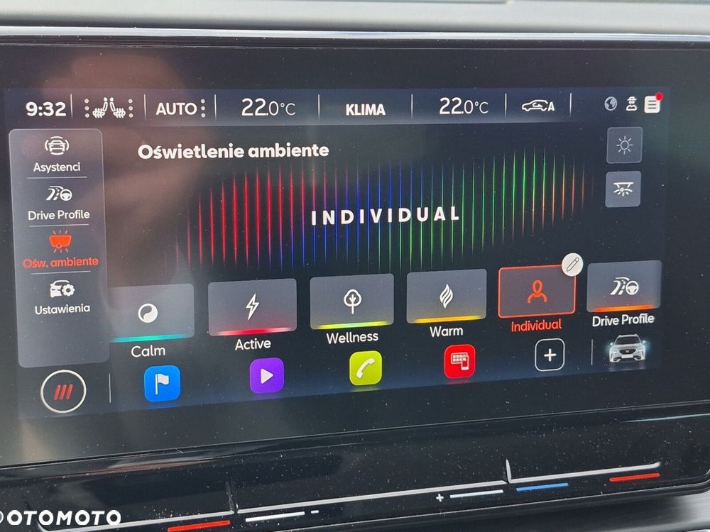 Cupra Formentor 2.0 TSI 4Drive DSG - 30