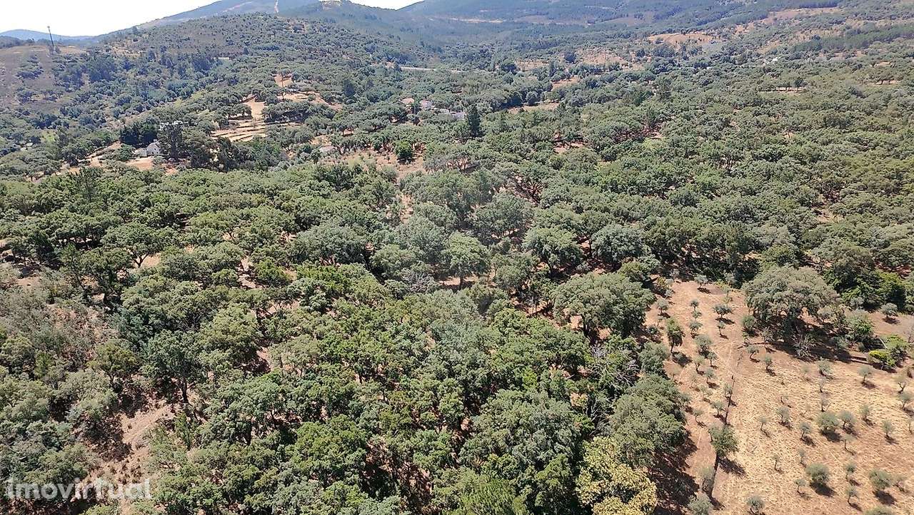 Terreno  para venda - Grande imagem: 3/46