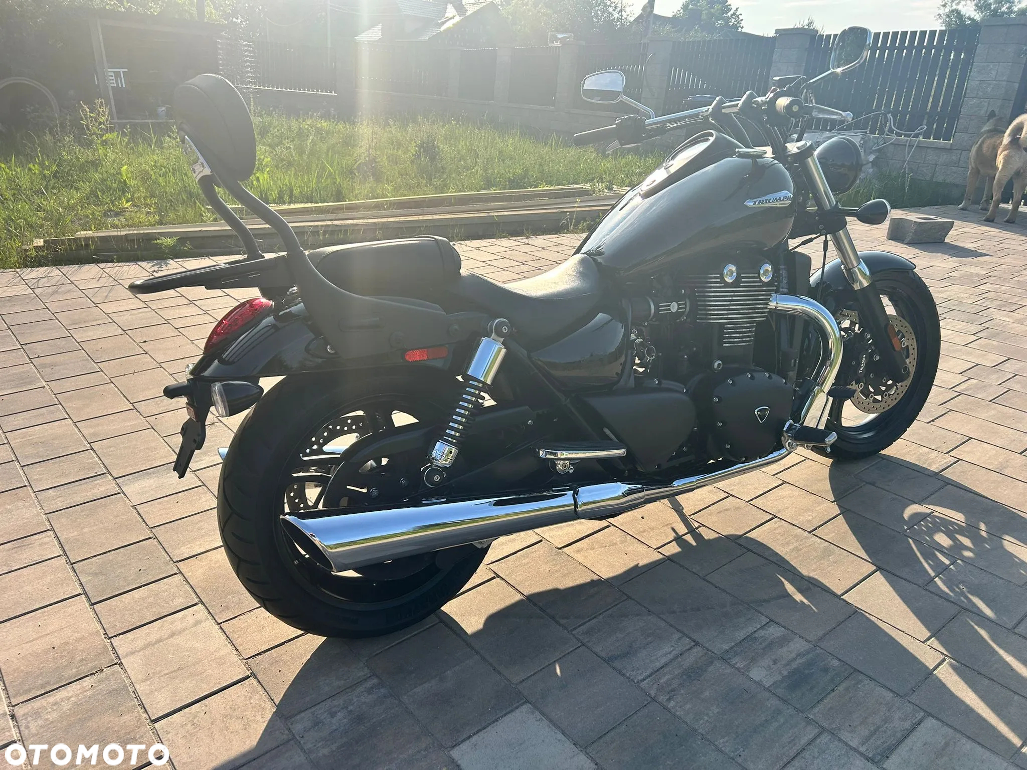 Triumph Thunderbird - 4