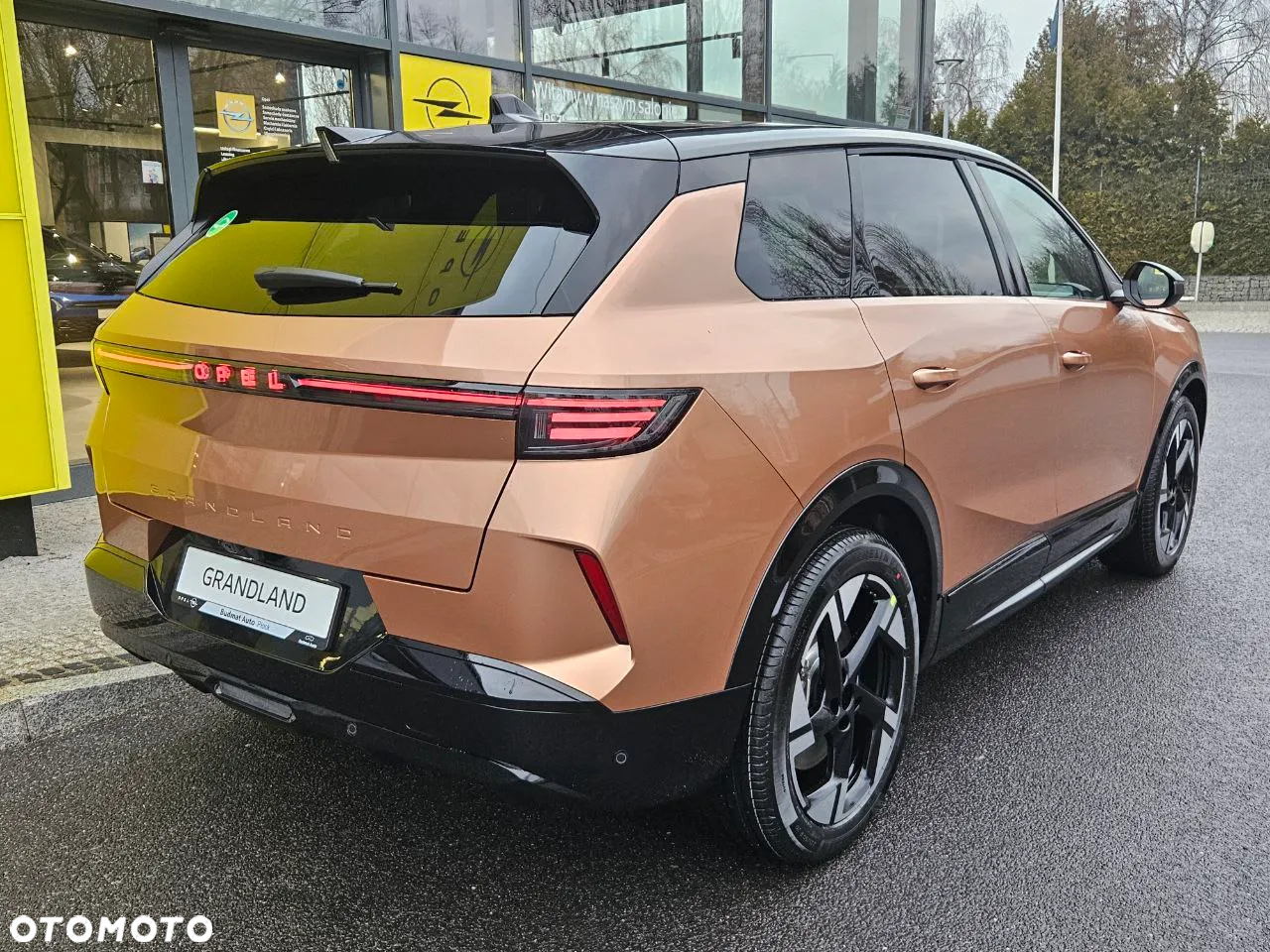 Opel Grandland Electric 73kWh Standard Range GS - 6