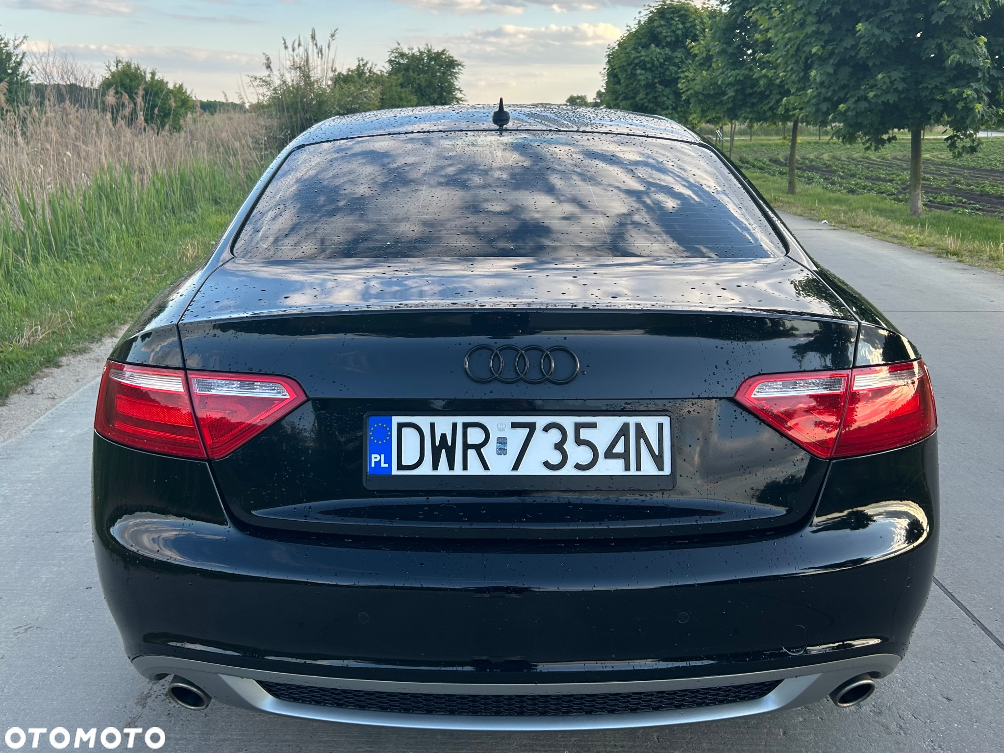 Audi A5 2.7 TDI Multitronic - 3