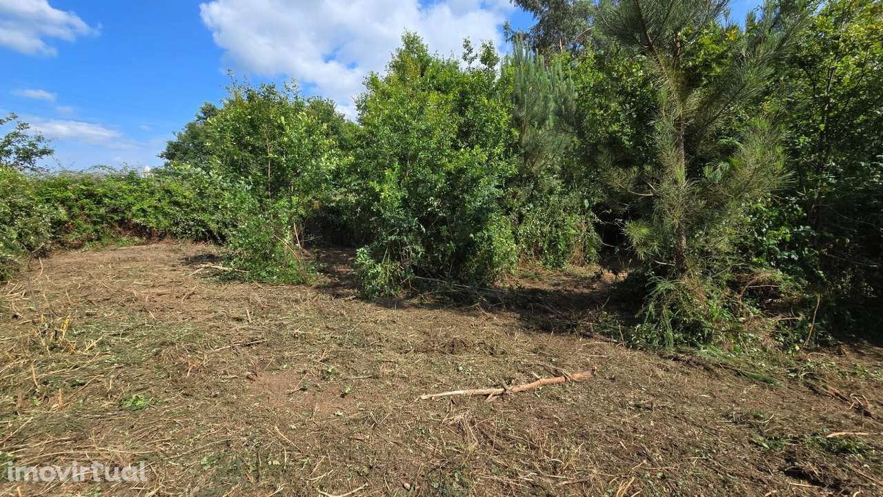 Terreno para Industria ou armazém e logradouro - Grande imagem: 3/15