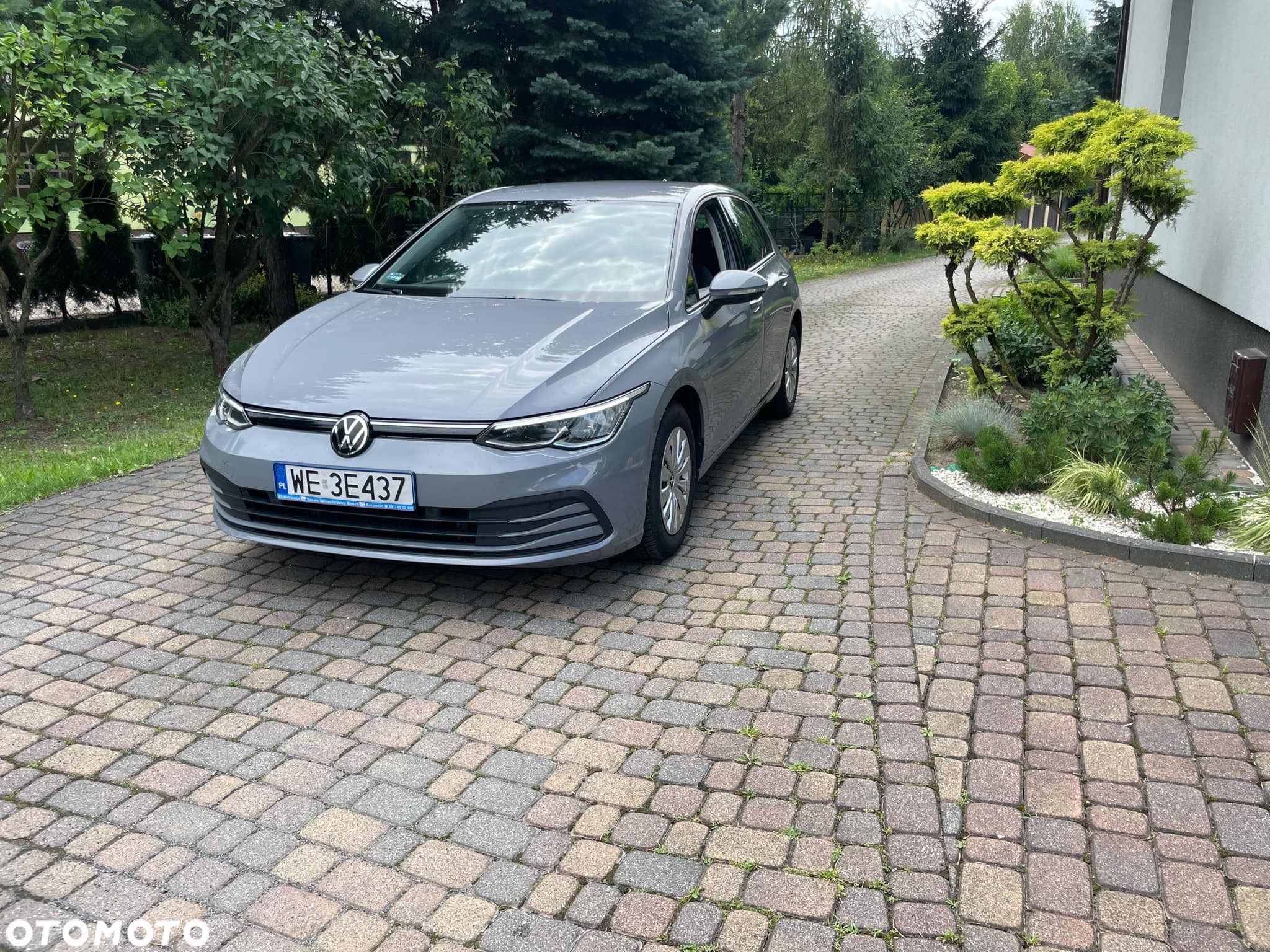 Volkswagen Golf VIII 1.0 TSI - 1