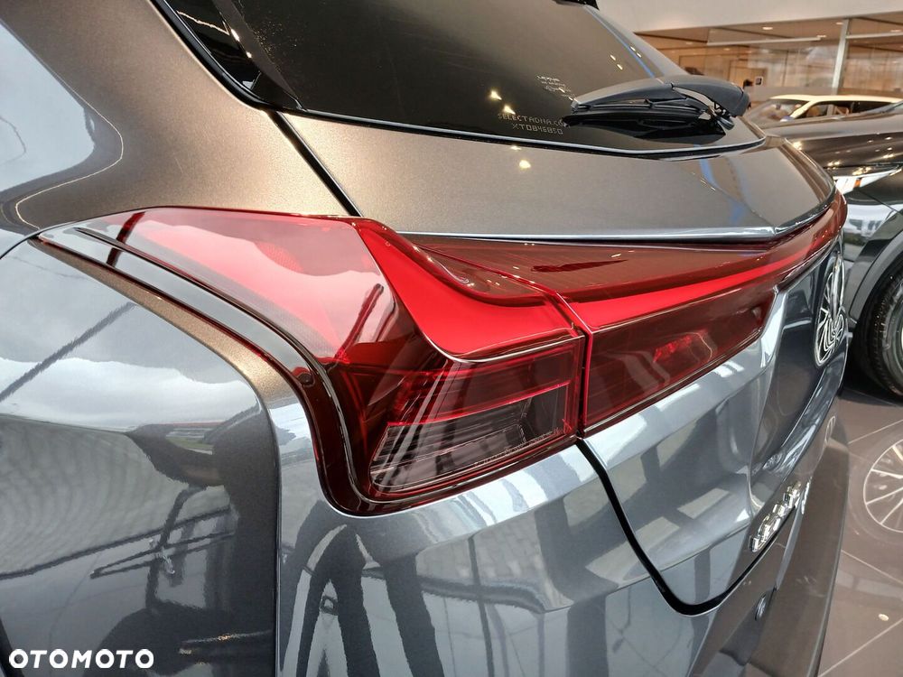 Lexus UX 300h F Sport Design - 18