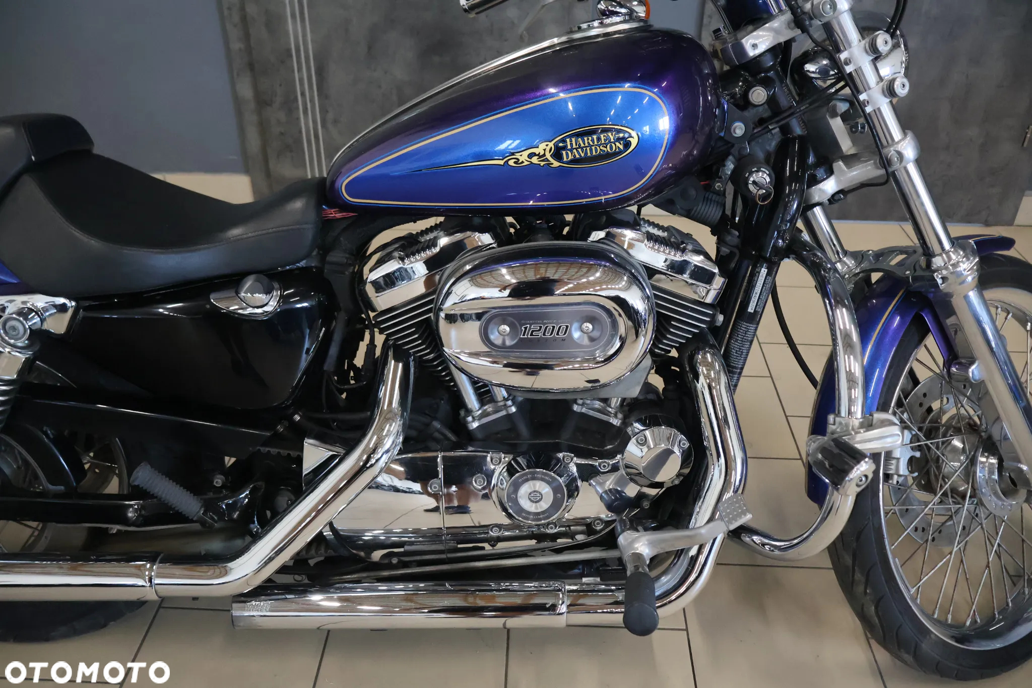 Harley-Davidson Sportster Custom 1200C - 4