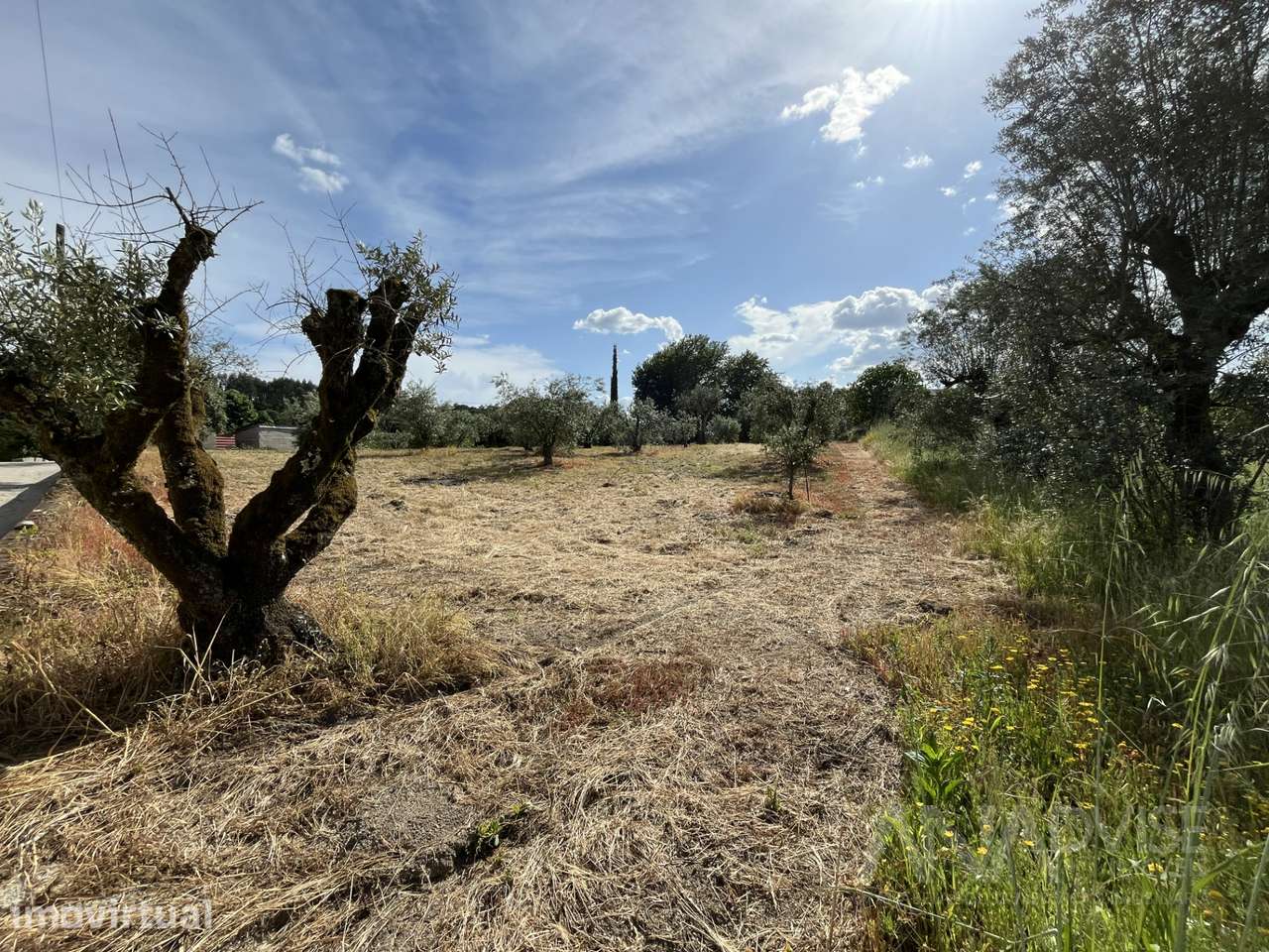 Terreno  Venda em Silgueiros,Viseu - Grande imagem: 5/23