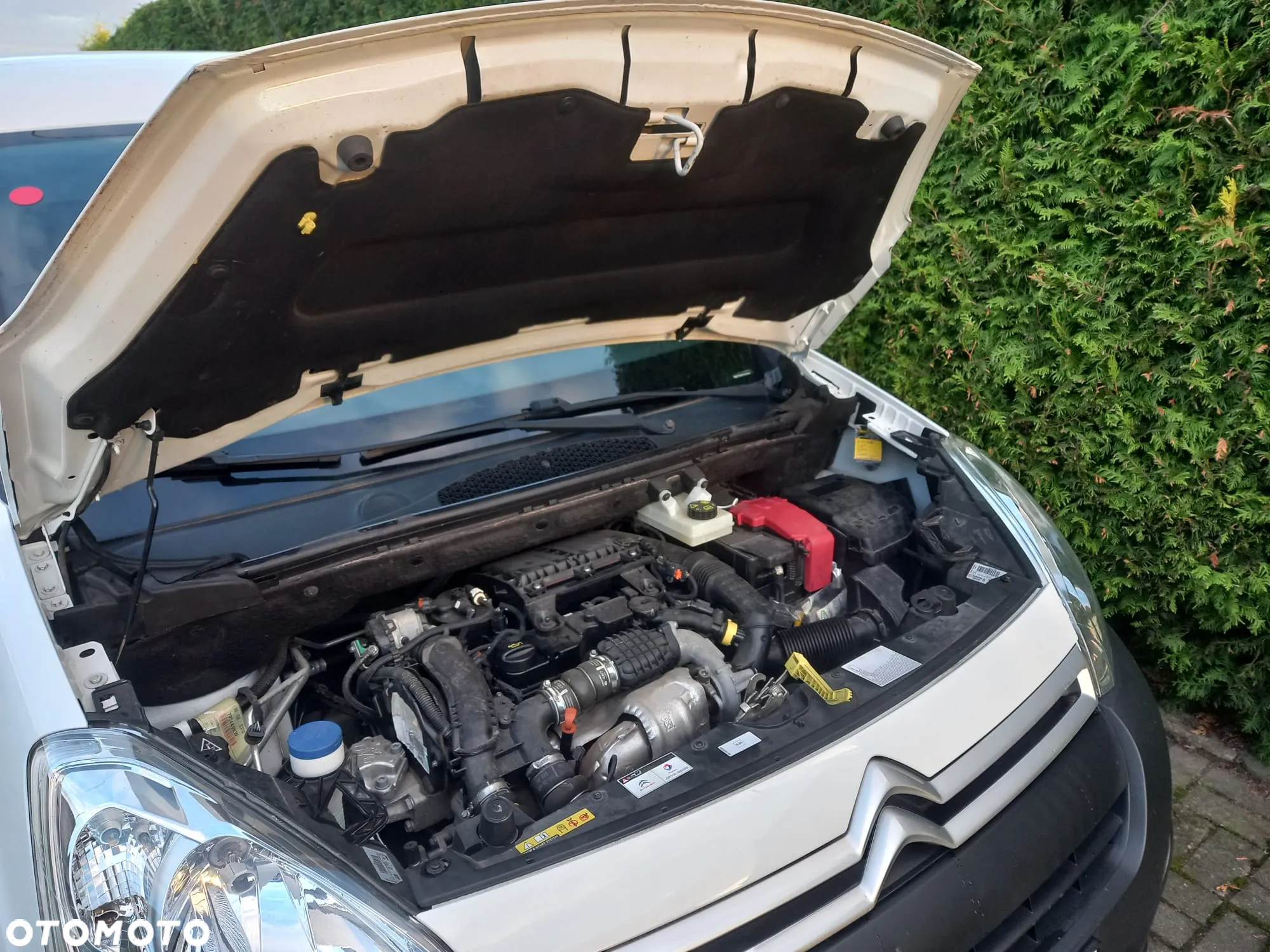 Citroën Berlingo - 17
