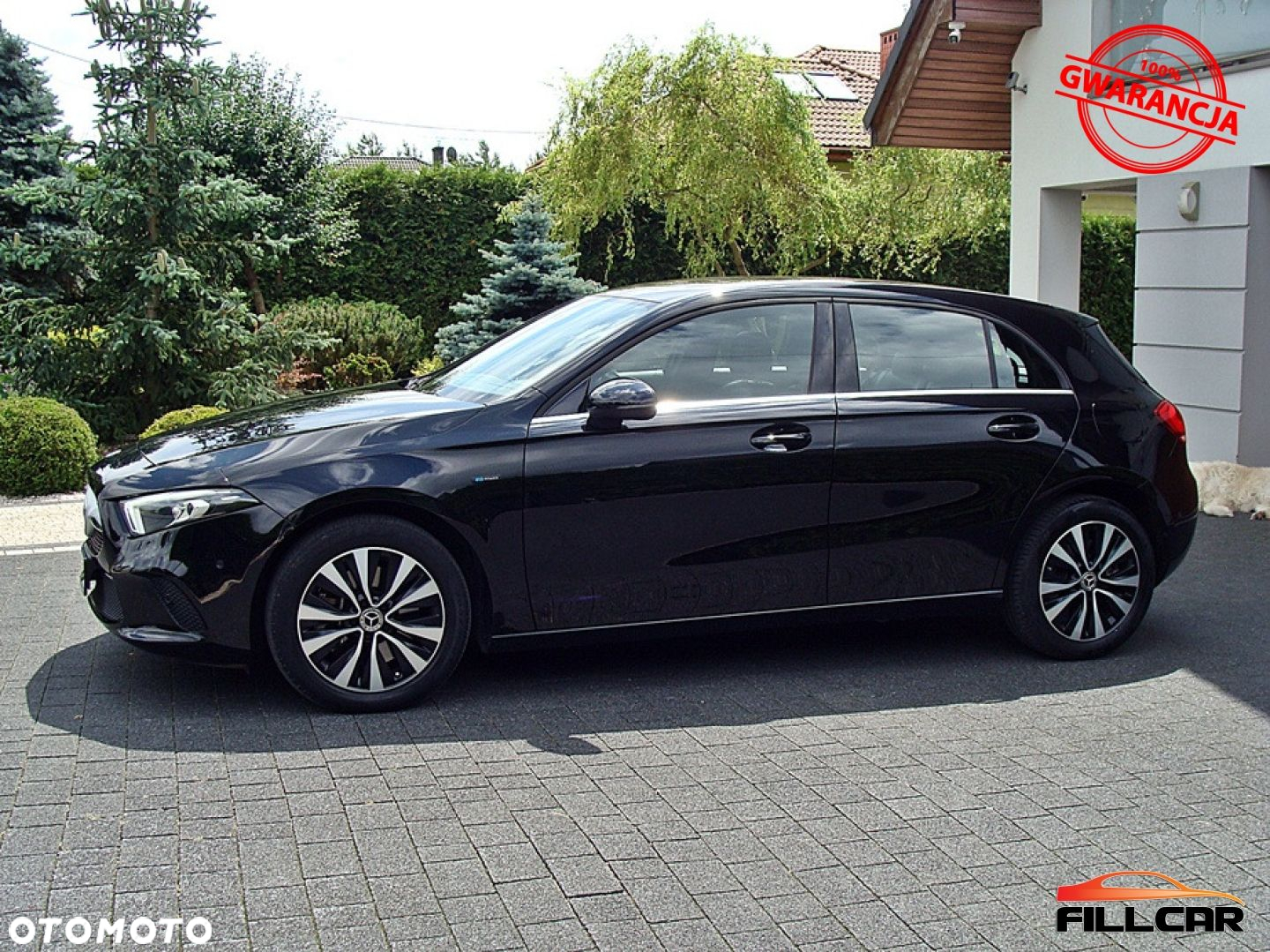 Mercedes-Benz Klasa A 250 e 8G-DCT Progressive Advanced - 9