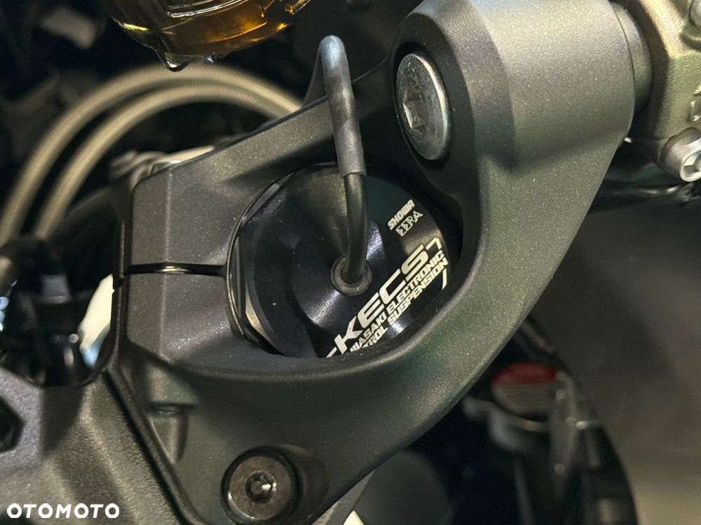 Kawasaki Ninja H2 SX - 22