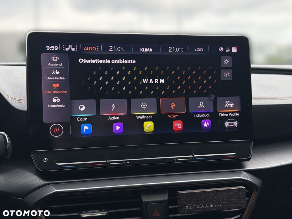 Cupra Formentor 2.0 TSI 4Drive VZ DSG - 33