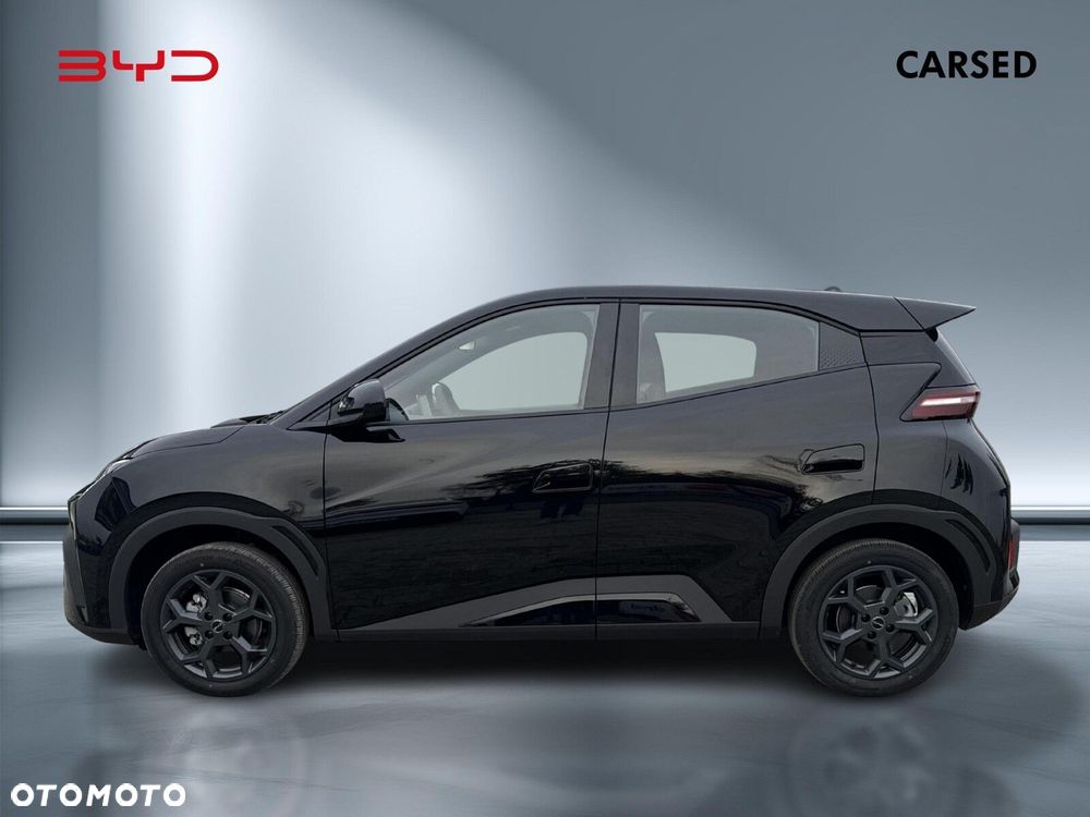 BYD Dolphin Surf - 2