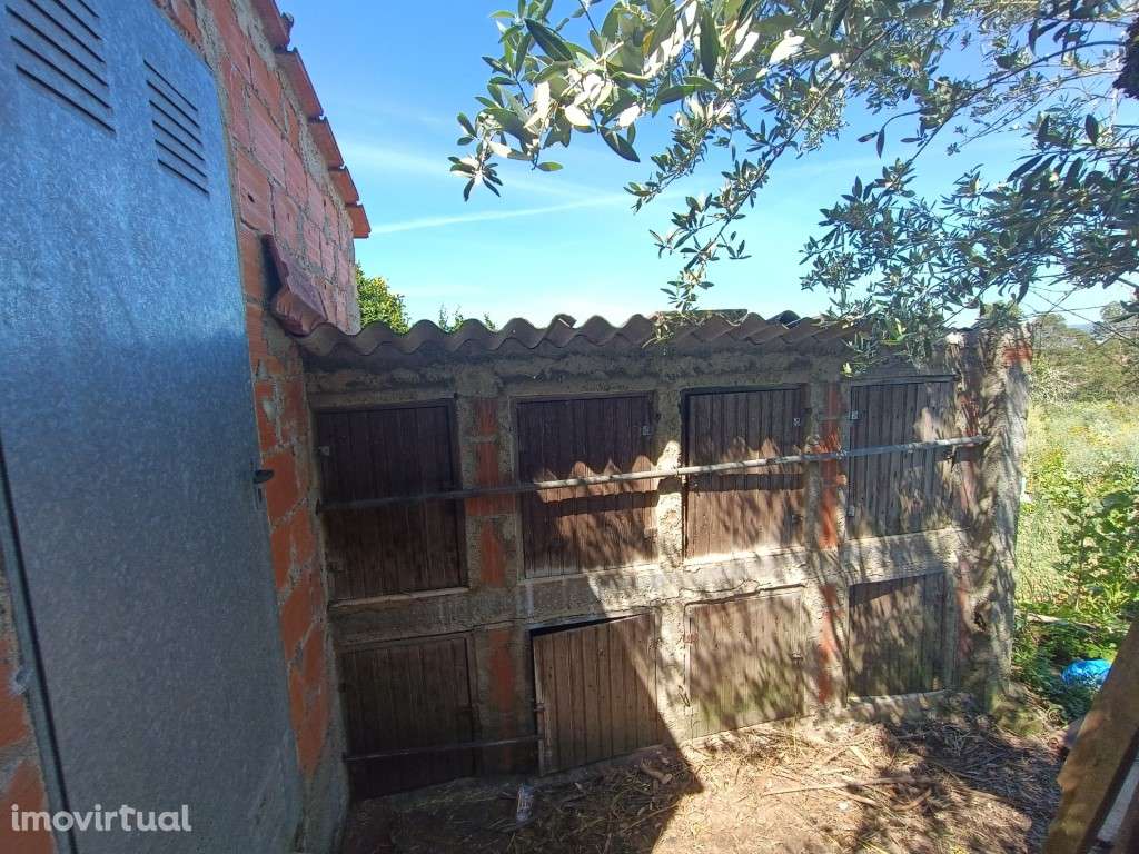 Moradia para recuperar com vista para Albufeira de Castelo de Bode - Grande imagem: 5/16