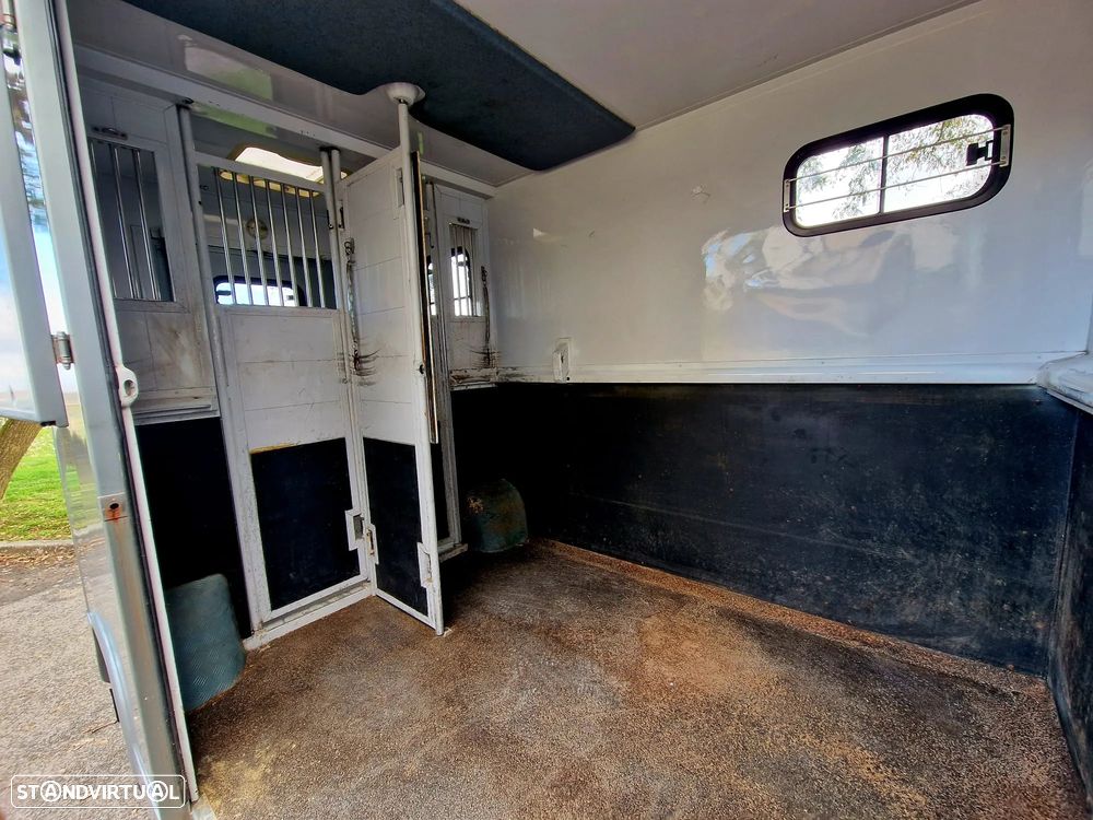 Renault MASTER - TRANSPORTE CAVALOS - 18