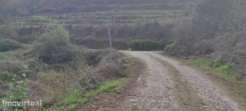 Terreno Agrícola - Moimenta / Terras de Bouro - Grande imagem: 2/7