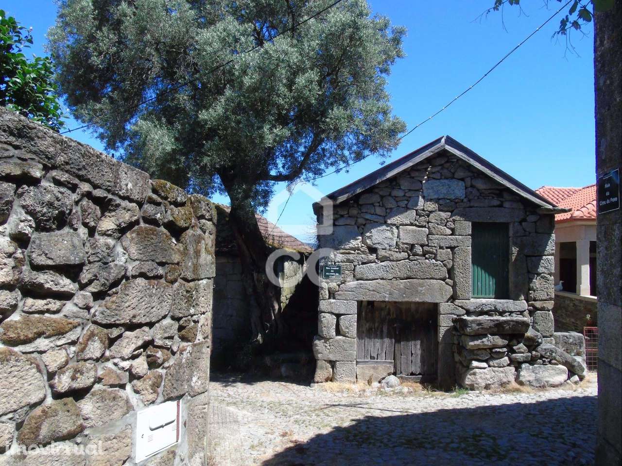 Propriedade em Limões - Ribeira de Pena - Grande imagem: 4/24