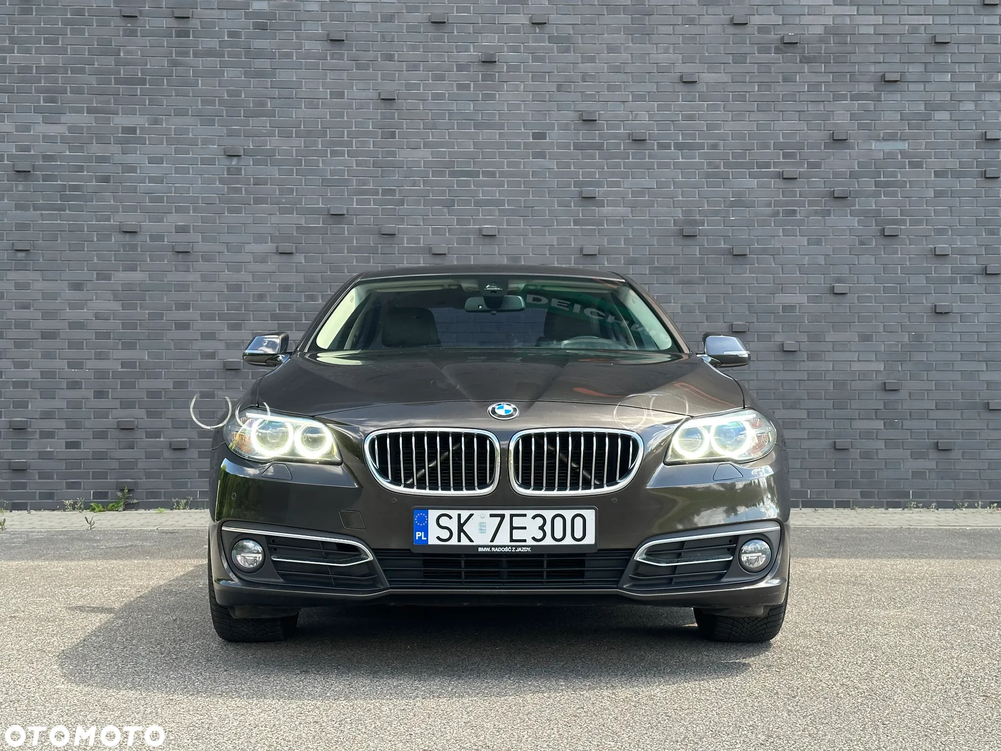 BMW Seria 5 520d Luxury Line - 7