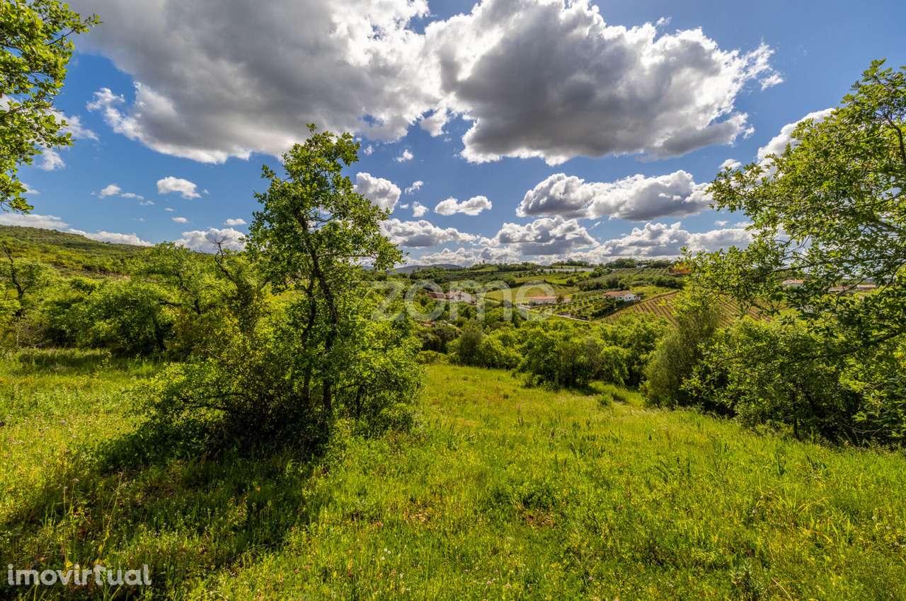 Terreno Urbanizável a 5 min. da Batalha - Grande imagem: 3/41