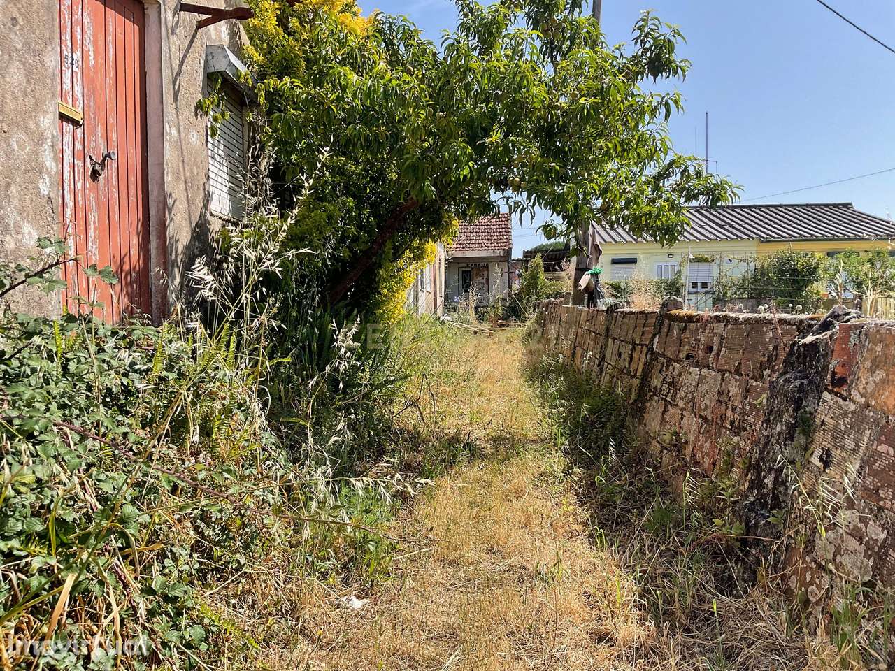 Oportunidade Única na fantástica freguesia de Darque - Grande imagem: 5/8