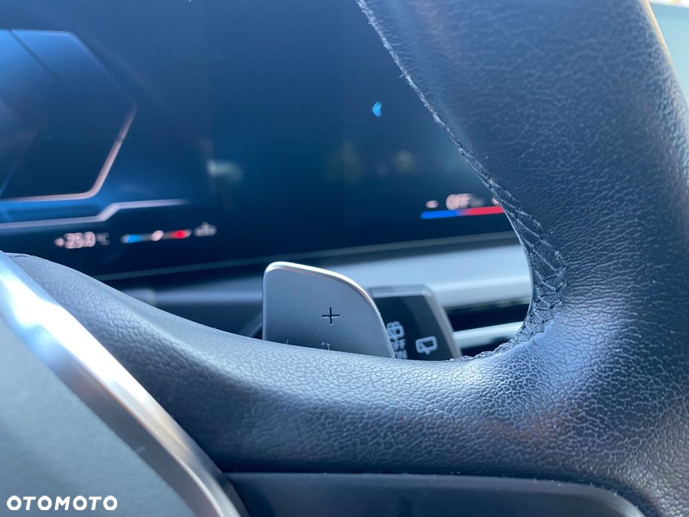 BMW Seria 3 318i Advantage - 20