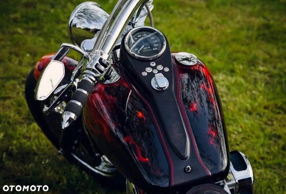 Harley-Davidson Softail Custom - 9