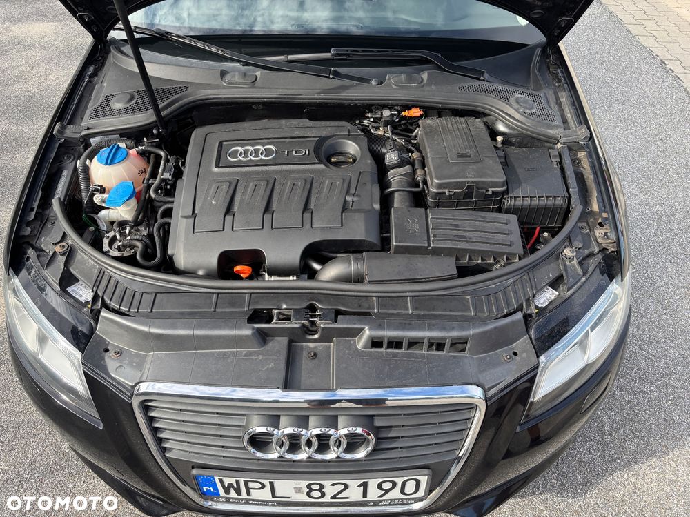Audi A3 3-drzwiowe 1.6 TDI DPF Ambition - 31