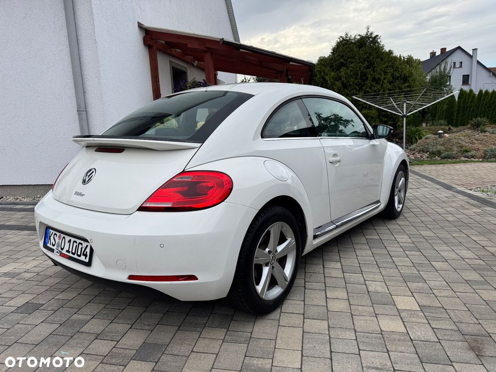 Volkswagen Beetle - 1