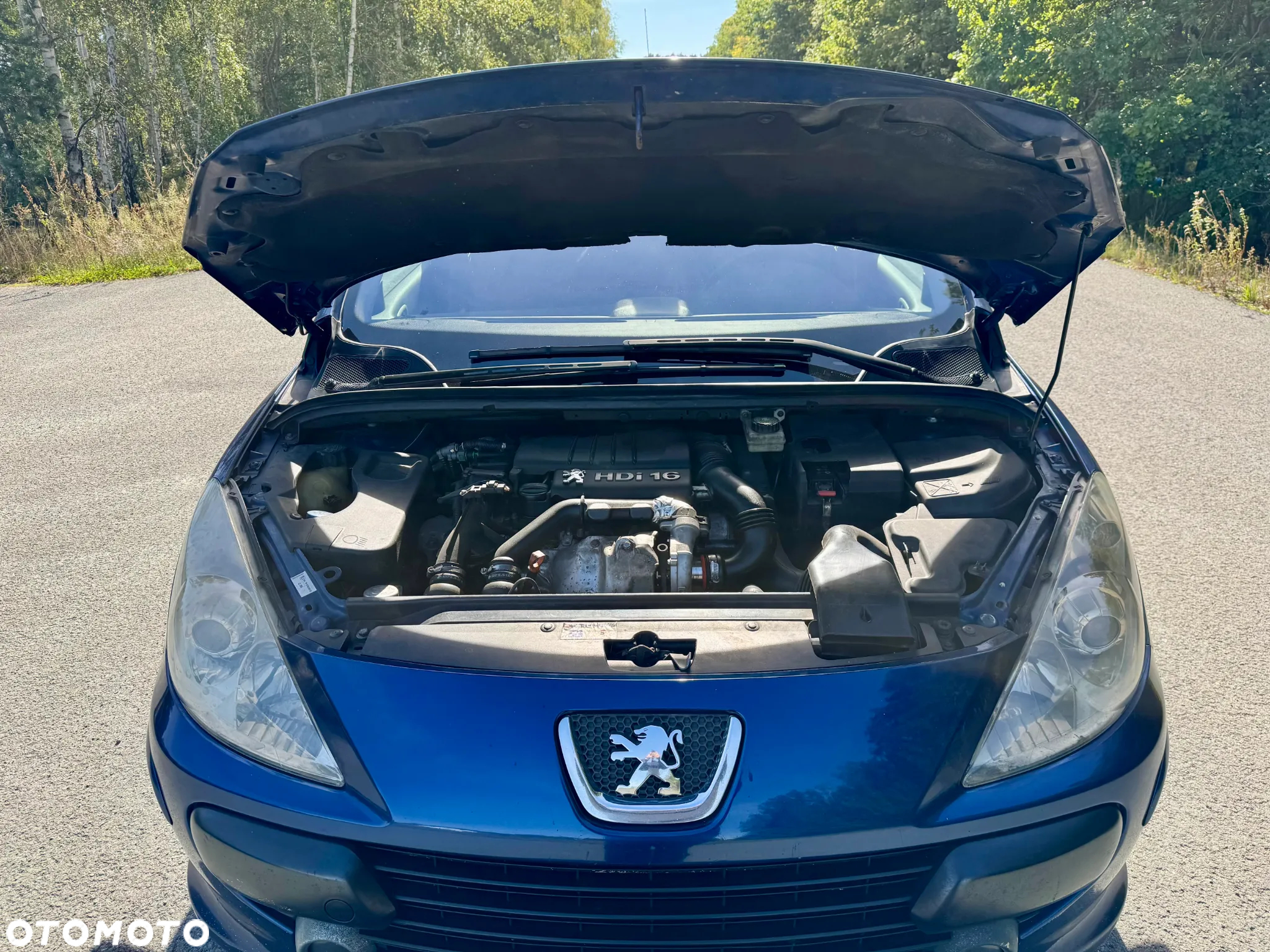 Peugeot 307 1.6 HDi - 24
