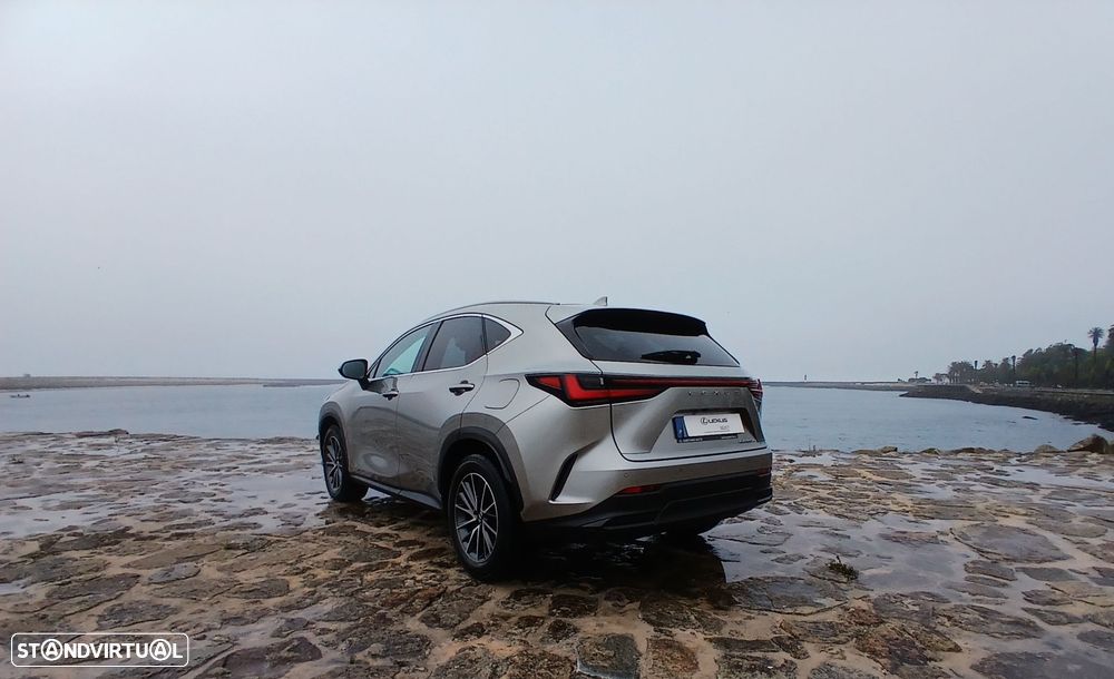 Lexus NX 450h+ - 13