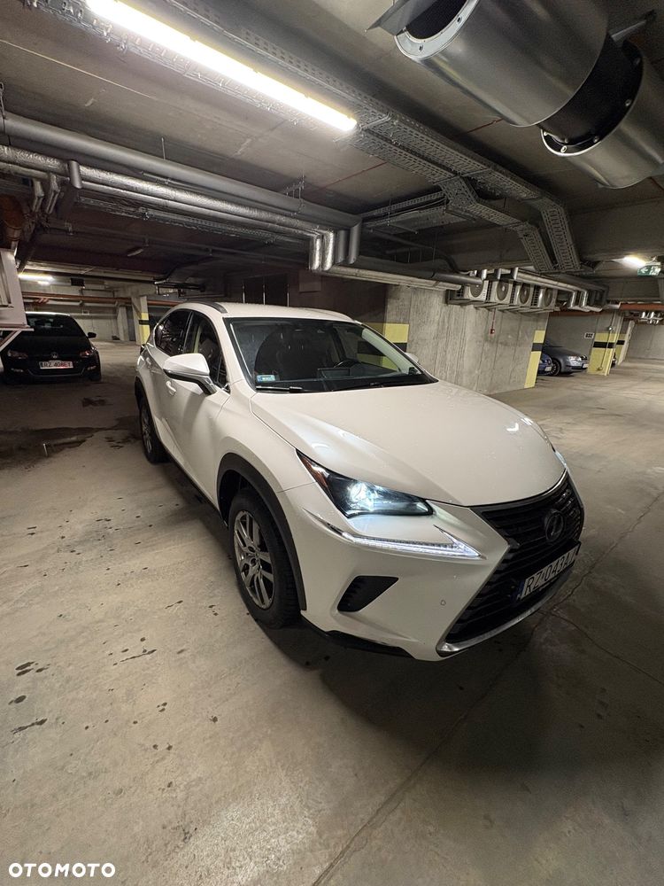Lexus NX 300 Business Edition AWD - 2