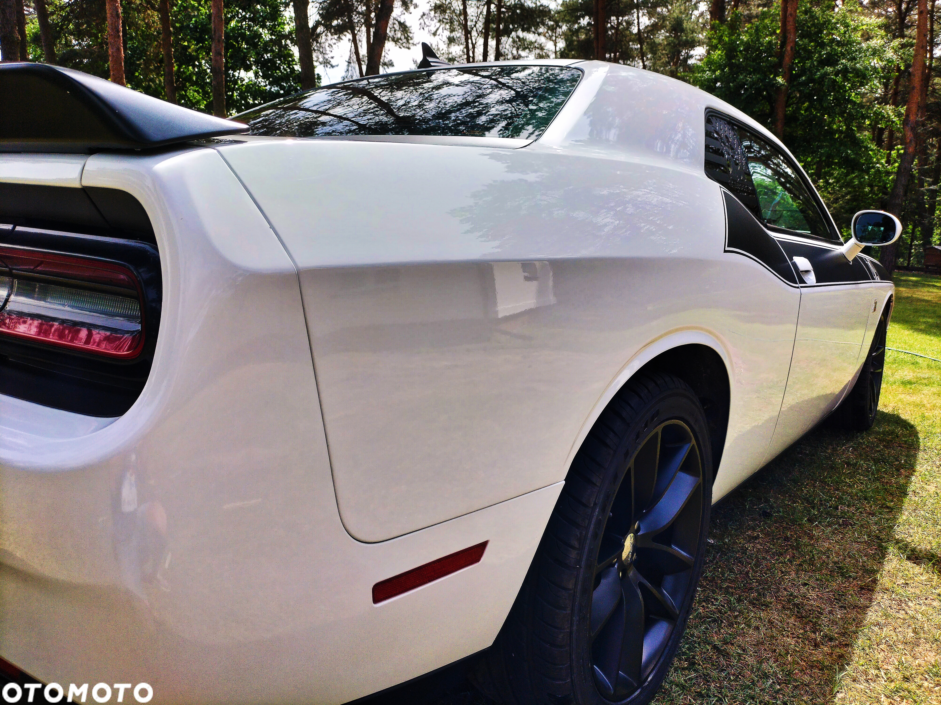 Dodge Challenger 6.4 Scat Pack - 15