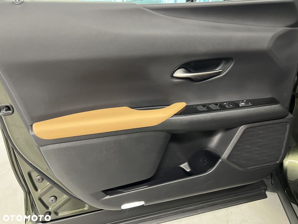 Lexus UX 250h GPF F Sport Design 2WD - 17