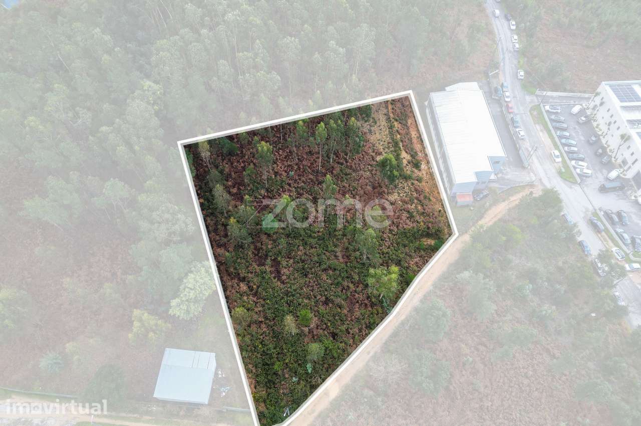 Terreno 3300m2 Vila Chã |São Roque | Oliveira de Azeméis - Grande imagem: 3/15